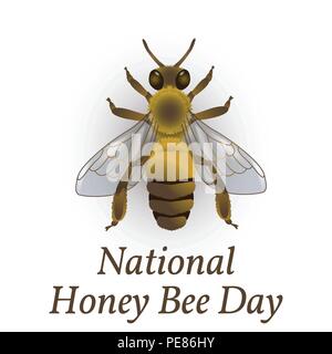 National Honey Bee Day in USA. Concept ecological event. 18 August. Realistic bee drawing Stock Vector