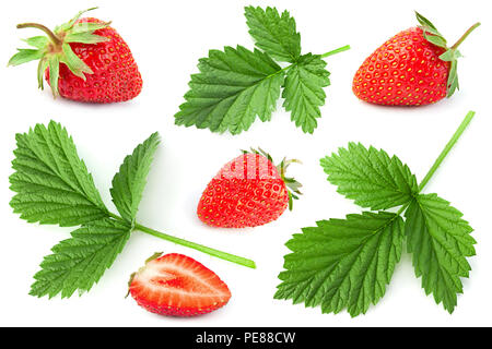 Raspberry fruit leaf collection isolated on white background Stock Photo