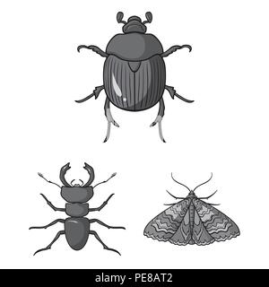 Different kinds of insects monochrome icons in set collection for design. Insect arthropod vector symbol stock  illustration. Stock Vector