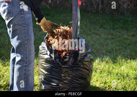 Airmen from Malmstrom Air Force Base and federal employees participate in the Day of Caring in Great Falls, Montana, on Oct. 23, 2015. Volunteers performed household chores including raking leaves, washing windows, trimming trees, and changing lightbulbs. The annual event strengthens community relations, volunteer engagement, and supports residents in completing necessary maintenance tasks. Stock Photo