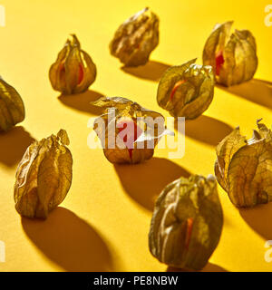 Diagonally symmetrical rows of a pattern with yellow physalis fruit with shadows on a yellow background. Stock Photo