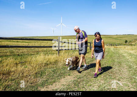 Senior couple walking dog on Fojtovice Plain, Eastern Krusne Hory Mountains, Ore Mountains, Czech Republic Stock Photo