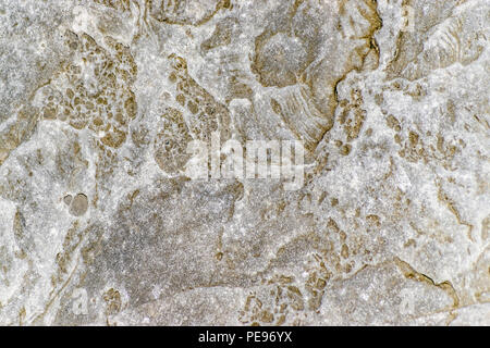 Close up of rough gray with gold flecks crystal textured rock Stock Photo