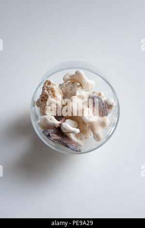 Red sea stones and corals in glass capsule isolated on white background Stock Photo
