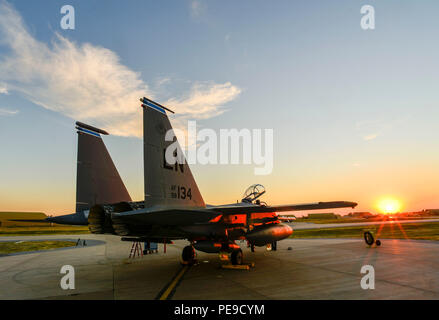 U.S. Air Force F-15E Strike Eagle sits shortly after landing Nov. 12, 2015, at Incirlik Air Base, Turkey. The F-15Es from the 48th Fighter Wing based at RAF Lakenheath, U.K., will join U.S., Turkish, and other coalition aircraft in supporting OIR and counter-ISIL missions. (U.S. Air Force photo by Airman 1st Class Cory W. Bush/Released) Stock Photo