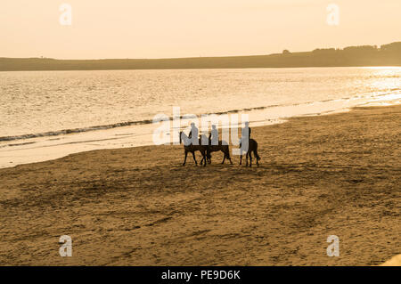 Group of friends riding their horses in the sea at Barry Island, Vale of Glamorgan, Wales. PHILLIP ROBERTS Stock Photo