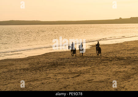 Group of friends riding their horses in the sea at Barry Island, Vale of Glamorgan, Wales. PHILLIP ROBERTS Stock Photo