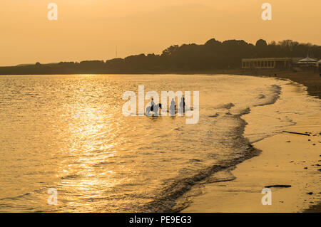 Group of friends riding their horses in the sea at Barry Island, Vale of Glamorgan, Wales. PHILLIP ROBERTS Stock Photo