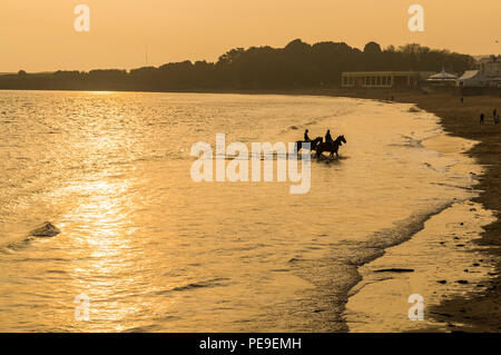 Group of friends riding their horses in the sea at Barry Island, Vale of Glamorgan, Wales. PHILLIP ROBERTS Stock Photo