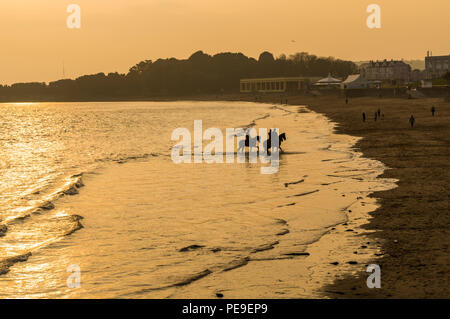 Group of friends riding their horses in the sea at Barry Island, Vale of Glamorgan, Wales. PHILLIP ROBERTS Stock Photo