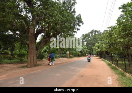 Santiniketan-Sriniketan road, Visva-Bharati university, Santiniketan