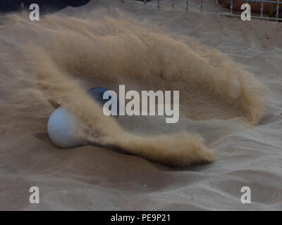 Bowls sport on beach in a hot summer day Stock Photo