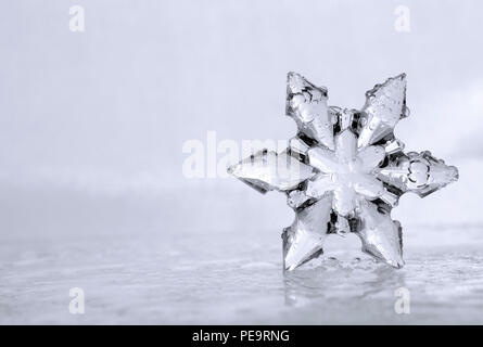 Close up photograph of a cool winter snowflake sitting on an icy, watery surface. Copyspace is provided to the left side of the photograph. Stock Photo