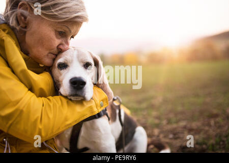 Senior woman with dog on a walk in an autumn nature. Stock Photo