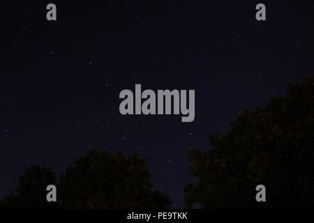 Ursa major or big dipper  constellation rising over the trees at night. Stock Photo