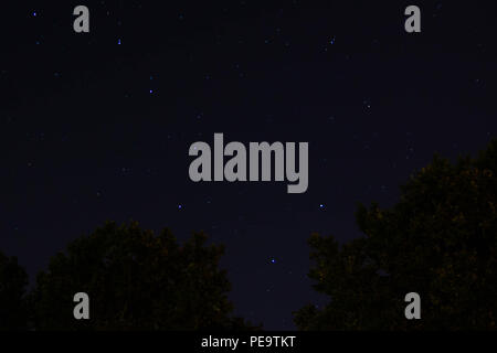 Ursa major or big dipper  constellation rising over the trees at night. Stock Photo