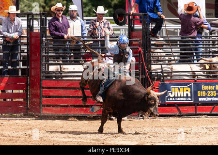 Professional cowboys compete in the bull riding portion of the 2018 Ram Rodeo Tour in Exeter, Ontario, Canada. Stock Photo
