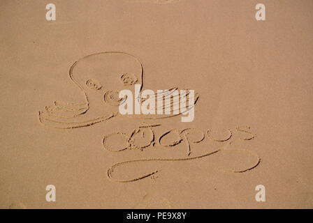 Child's drawing of an octopus with a word 'Octopus' written on the red sand on a beach, Prince Edward Island, Canada Stock Photo