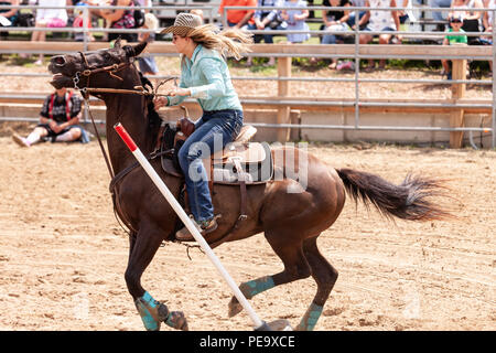 Cowgirls guide their quarterhorses through the Pole Bending course during the Ram Rode Tour in Exeter, Ontario, Canada. Stock Photo