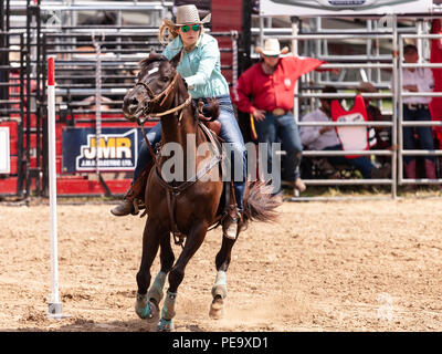 Cowgirls guide their quarterhorses through the Pole Bending course during the Ram Rode Tour in Exeter, Ontario, Canada. Stock Photo