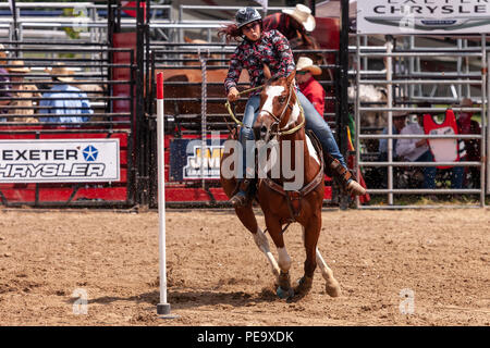 Cowgirls guide their quarterhorses through the Pole Bending course during the Ram Rode Tour in Exeter, Ontario, Canada. Stock Photo