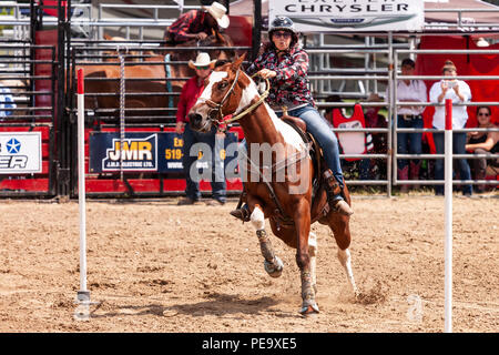 Cowgirls guide their quarterhorses through the Pole Bending course during the Ram Rode Tour in Exeter, Ontario, Canada. Stock Photo