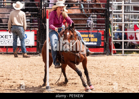 Cowgirls guide their quarterhorses through the Pole Bending course during the Ram Rode Tour in Exeter, Ontario, Canada. Stock Photo