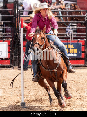 Cowgirls guide their quarterhorses through the Pole Bending course during the Ram Rode Tour in Exeter, Ontario, Canada. Stock Photo