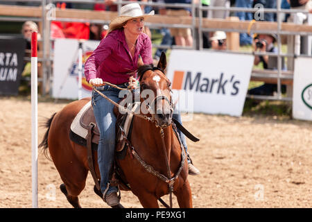 Cowgirls guide their quarterhorses through the Pole Bending course during the Ram Rode Tour in Exeter, Ontario, Canada. Stock Photo