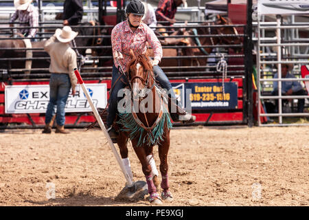 Cowgirls guide their quarterhorses through the Pole Bending course during the Ram Rode Tour in Exeter, Ontario, Canada. Stock Photo