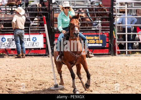 Cowgirls guide their quarterhorses through the Pole Bending course during the Ram Rode Tour in Exeter, Ontario, Canada. Stock Photo