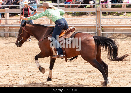 Cowgirls guide their quarterhorses through the Pole Bending course during the Ram Rode Tour in Exeter, Ontario, Canada. Stock Photo