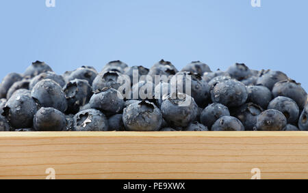 Close up heap of fresh washed blueberry berries in wooden box, wet with water drops over blue background, low angle view Stock Photo