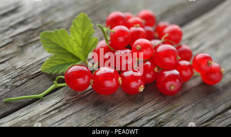 Fresh red currant on timber surface Stock Photo