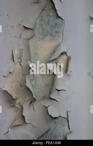Macro shot of peeling paint on corrugated metal Stock Photo