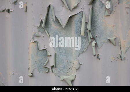 Close up detail of peeling paint on a corrugated metal sheet Stock Photo