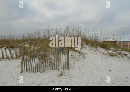 Scenic View Color Photograph Uniola Paniculata Sea Oat Covered Sand Dune Protective Stabilizing Wooden Sand Fence Pensacola Beach Northern Gulf Mexico Stock Photo