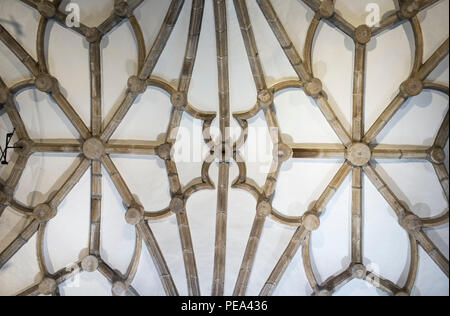 Badajoz, Spain - August 13th, 2018: Metropolitan Cathedral of Saint John the Baptist of Badajoz indoor. Manueline Vault Stock Photo