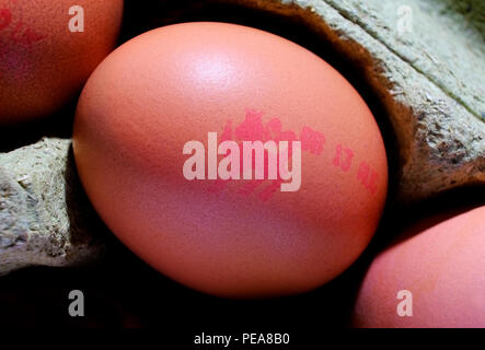 lion standard symbol on british egg Stock Photo