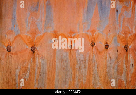 weathered orange paint finish on old plywood board Stock Photo