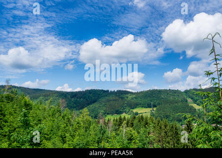 Germany, Black forest hiking trail through nature landscape Stock Photo