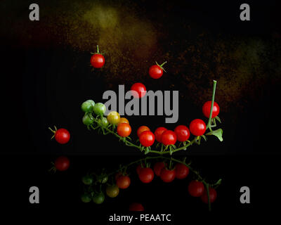 Cluster of tiny red currant tomatoes on vine , Solanum pimpinellifolium, on shiny surface and dark background. Still life. Stock Photo