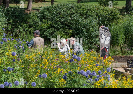 Photographers, members of a local U3A photography group, taking photos at Sywell Country Park, Northamptonshire, UK Stock Photo