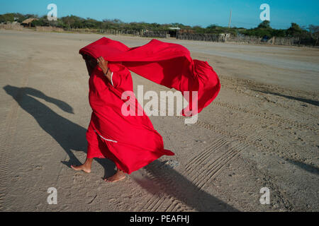 The Yonna Dance, also known as Chichamaya ritual represents Social
