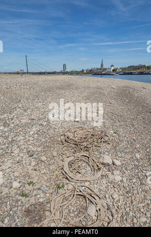 The river Rhine near Dusseldorf, extreme low tide, Rhine level at 84 cm, after the long drought falls the left bank of the Rhine, dry at Dusseldorf Ob Stock Photo