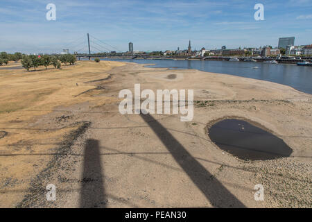 The river Rhine near Dusseldorf, extreme low tide, Rhine level at 84 cm, after the long drought falls the left bank of the Rhine, dry at Dusseldorf Ob Stock Photo