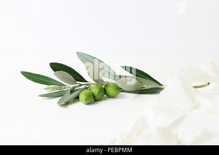 Feminine styled stock photography. Closeup of olive branch decorated by silk ribbon on white table background. Mediterranean concept, botanical arrangement. Stock Photo