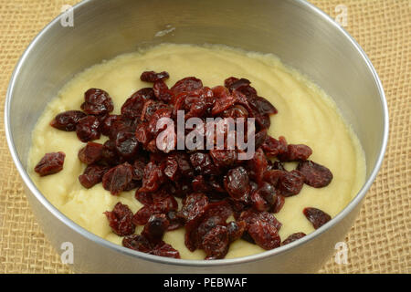 Making Thanksgiving cranberry muffins in stainless steel mixing bowl with muffin dough mix and added died cranberries Stock Photo