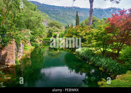 Creek in a Garden with Historic Ruins, Nimfa Garden, Cisterna di Latina, Italy Stock Photo