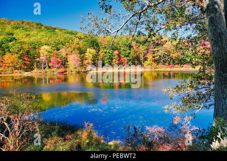 Bright Autumn Day in Harriman State Park, New York State, USA Stock Photo